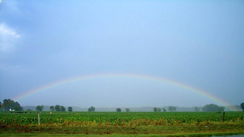 Boykins, VA: A Rainbow stretching across the Mann Farm in Boykins.