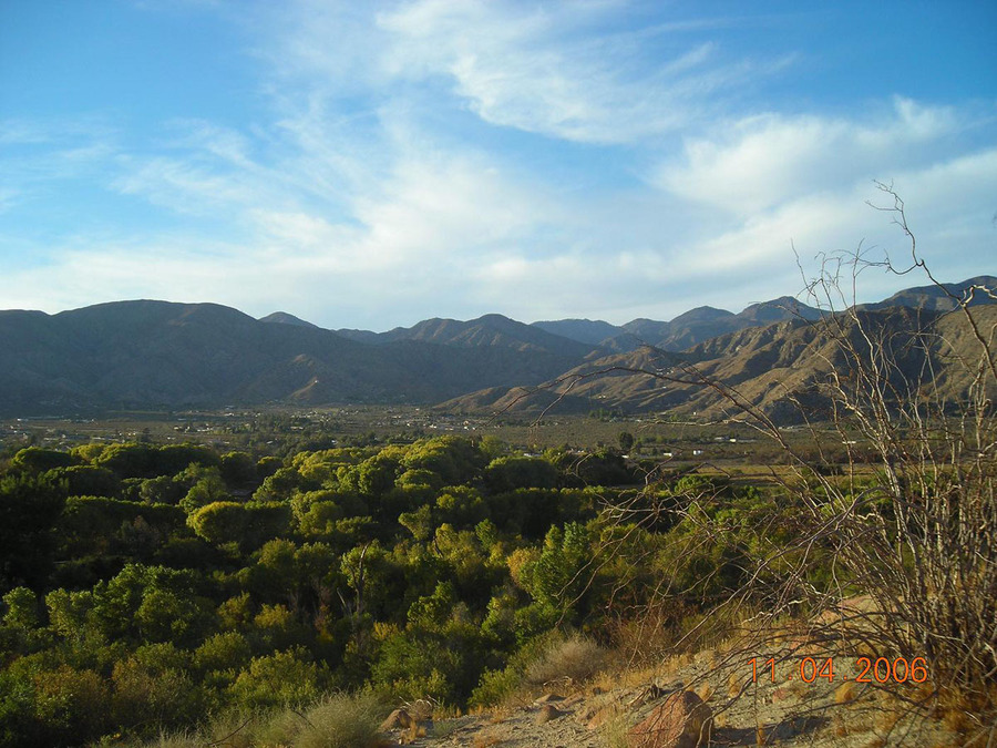 Morongo Valley, CA Top of Yucca Ridge, Morongo Valley, CA photo