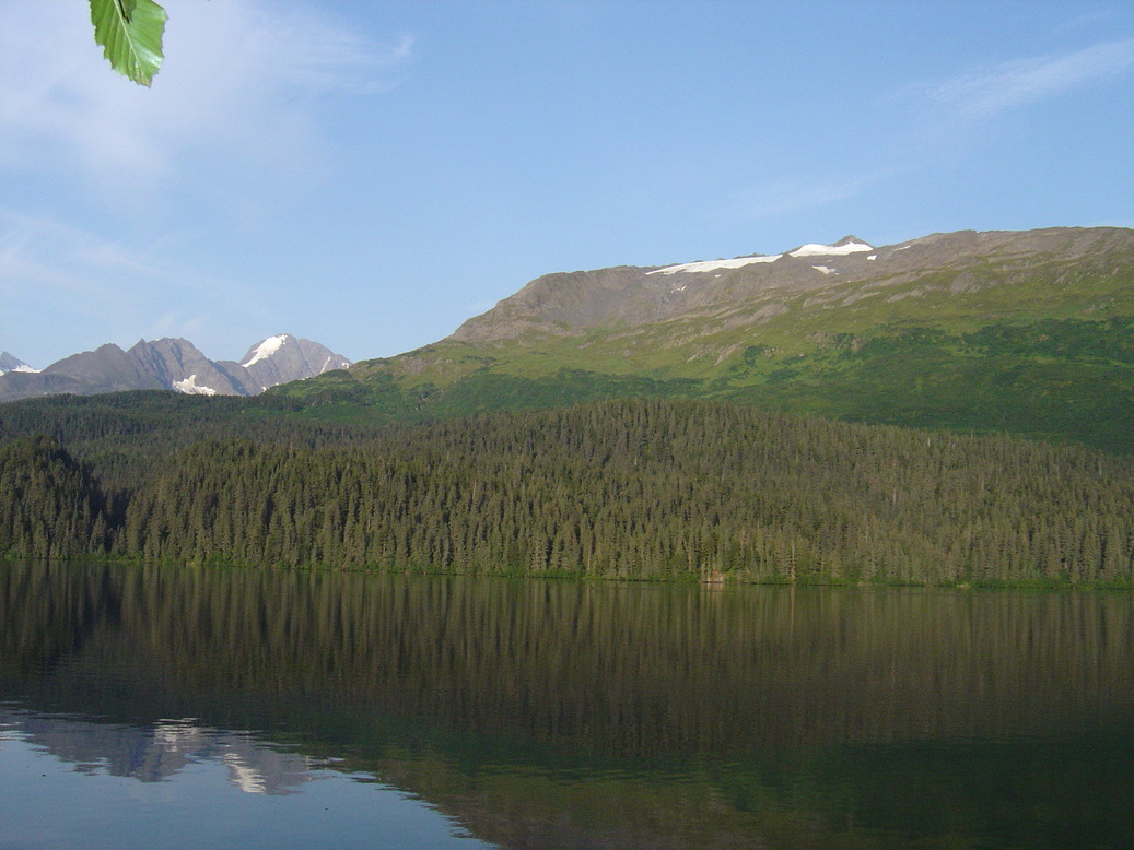 Bear Creek, AK: bear lake