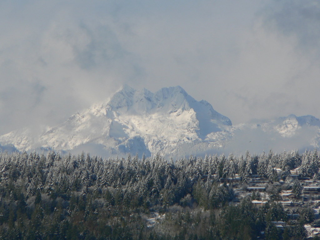 Tracyton, WA: snow covered olympics from tracyton boat launch