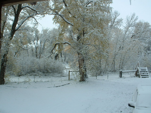 Big Timber, MT: winter wonderland