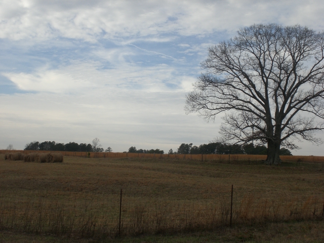 Lawrenceville, GA: Farmland in L'ville