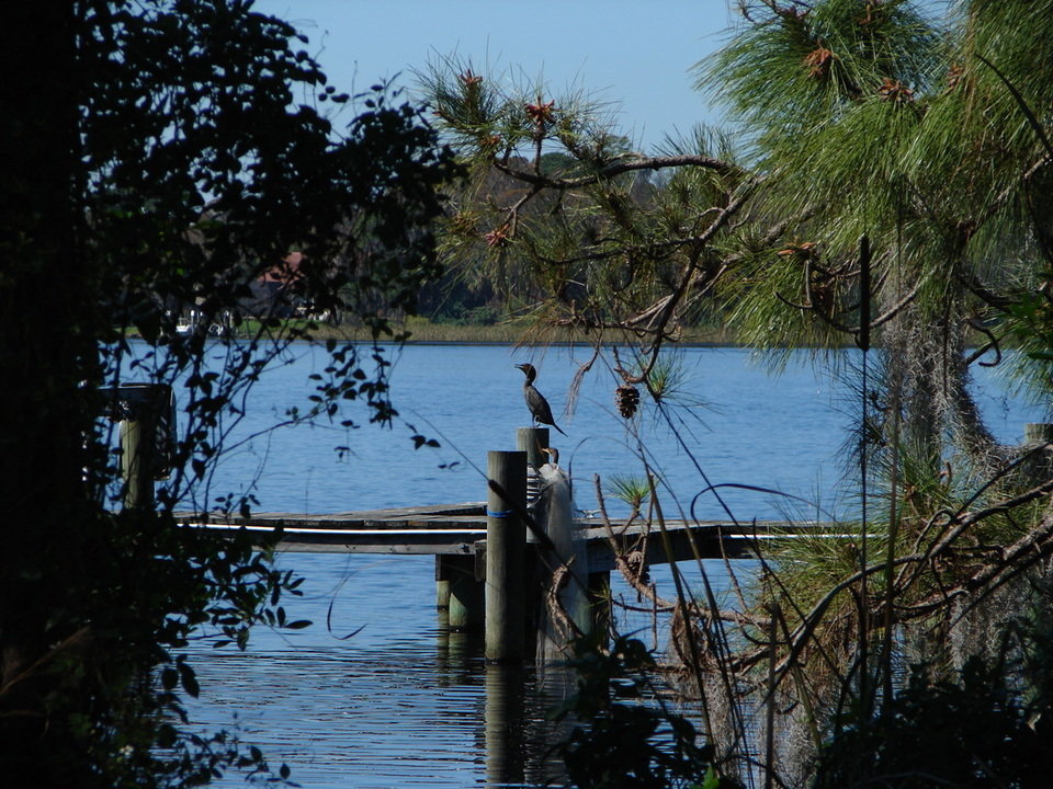 Palm Harbor, FL: lake tarpon north east