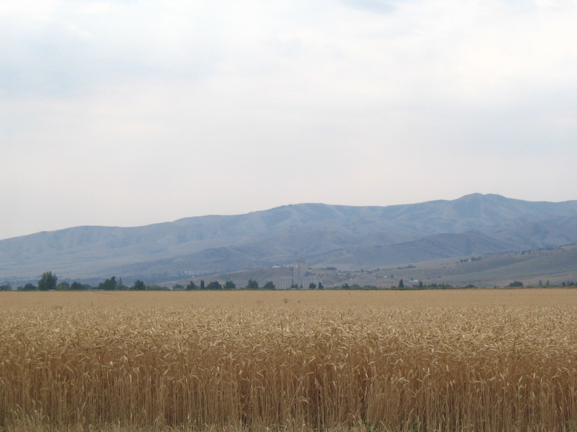 Pocatello, ID: fields and mountains