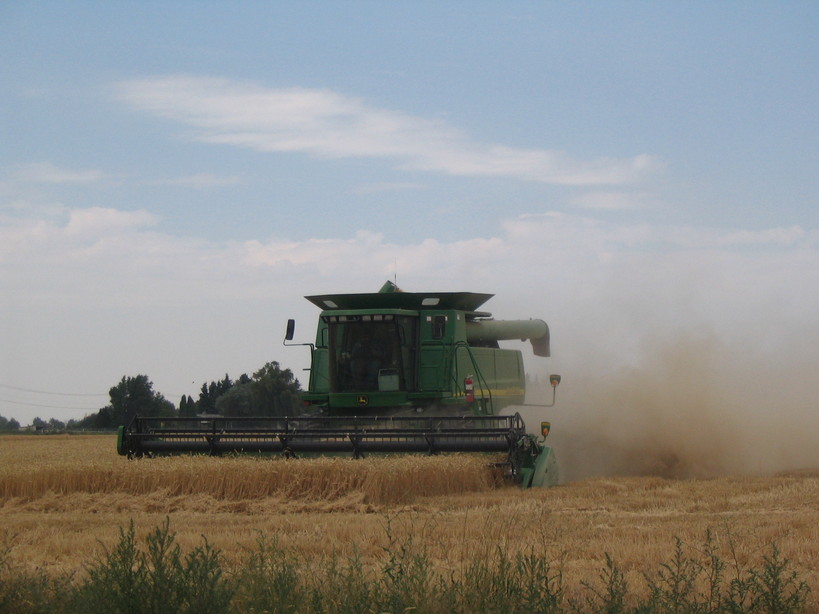 Pocatello, ID: Harvest Time