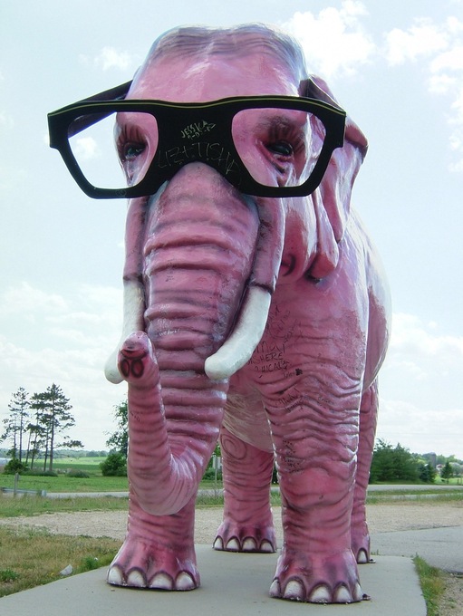 DeForest, WI: Pink Elephant