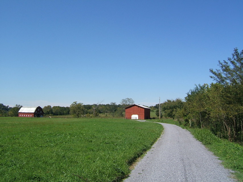 Greeneville, TN: Beautiful Green Fields of Greenville