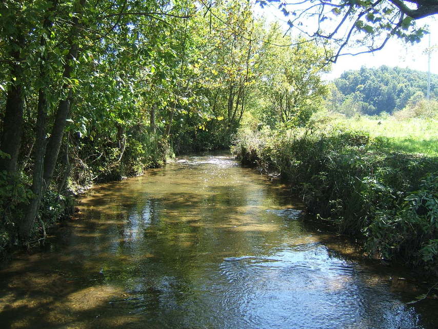 Greeneville, TN: Rolling Brook in Greeneville, TN