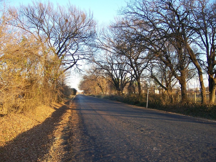 Cross Roads, TX: Fishtrap Road at FM 2931