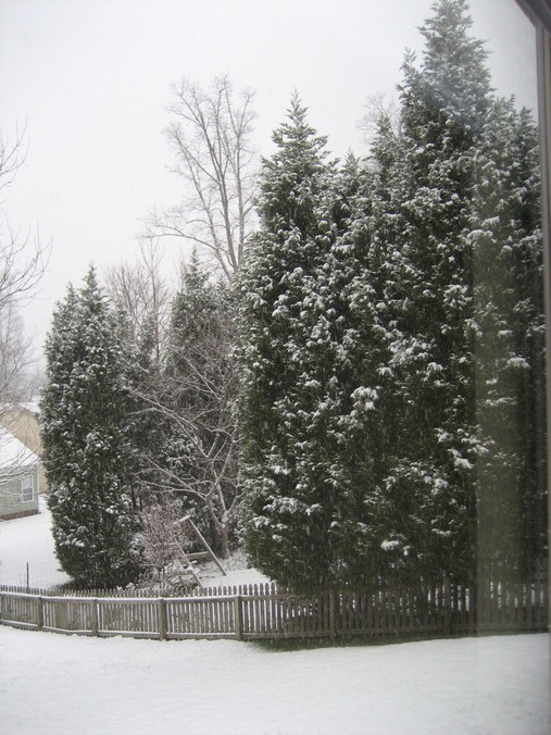 Matthews, NC: Winter Window View