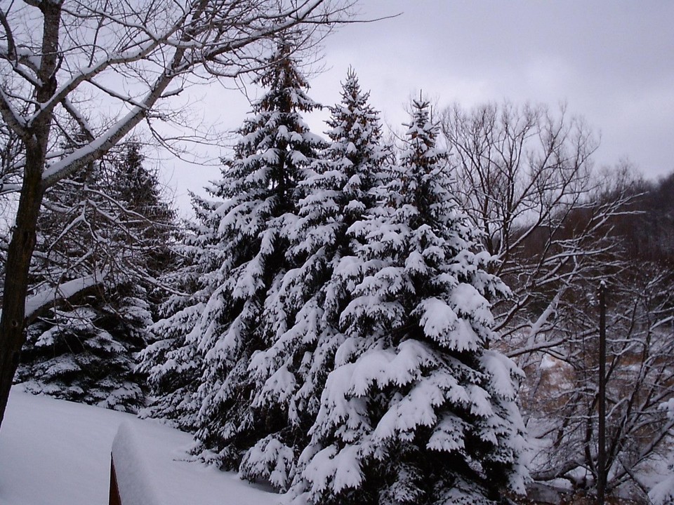 Wellsboro, PA: When is snows in Wellsboro, Pa
