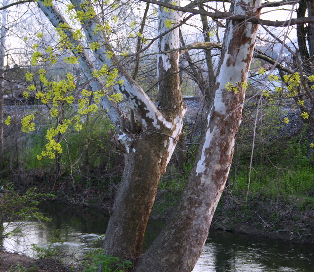 Bentleyville, PA: Richardson Park