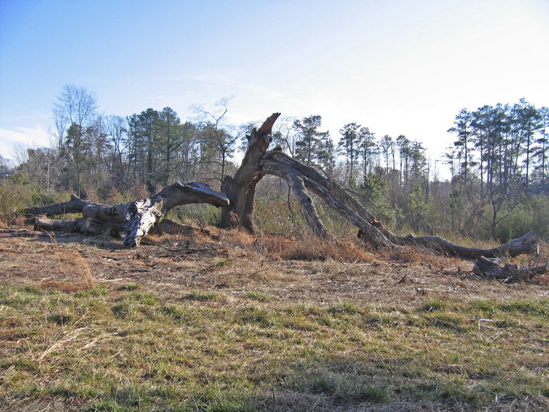 Alpharetta, GA: Fallen Titan, Canton Street, Downtown Alpharetta