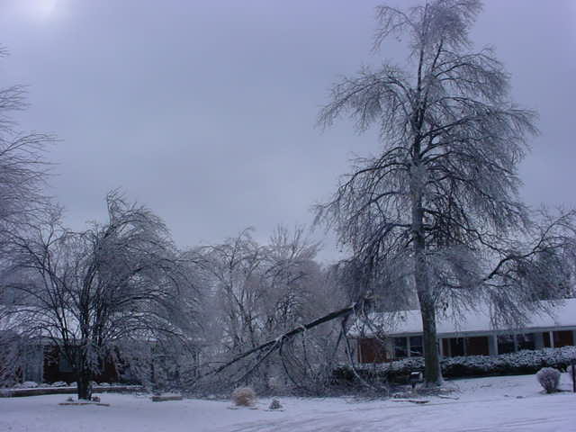 Green Park, MO: Green Park, Missouri 11/30/06 Ice Storm Damage