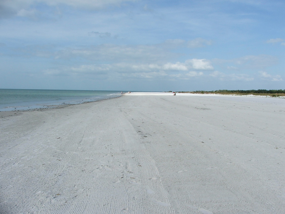 Tierra Verde, FL: Fort Desoto North Beach - Dr. Beach Voted it #1 Beach in the USA