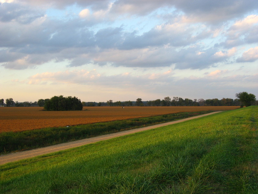 New Madrid, MO: A view from the levee in New Madrid.