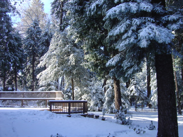 Pollock Pines, CA: Our Back Deck after snow in December 2006