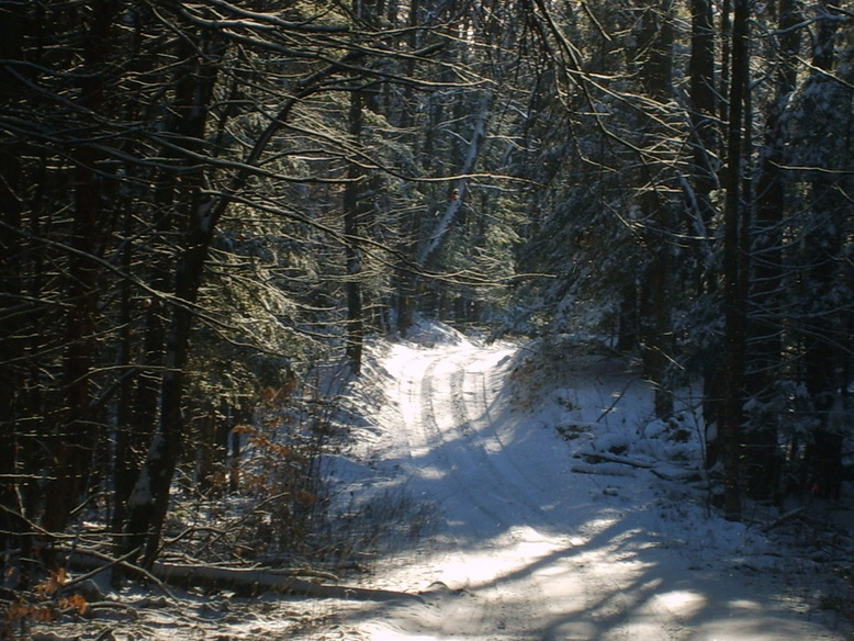 Watson, NY: A Watson road in winter
