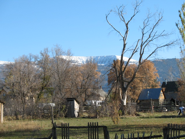 Spring City, UT: Horsehoe through the trees