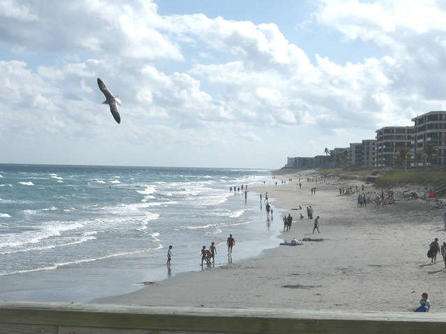 Lake Worth, FL: Benny's On the Beach Dine and Enjoy the View