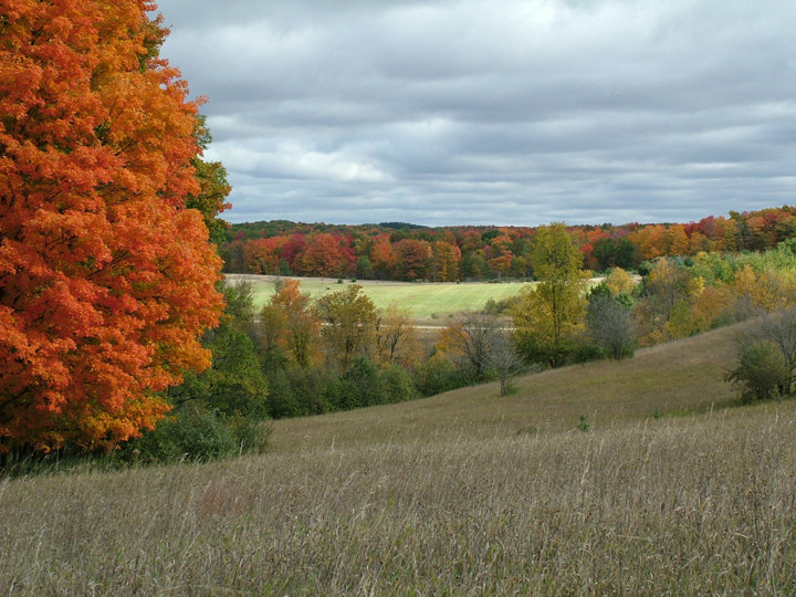Luther, MI: Fall Field in Luther, Michigan