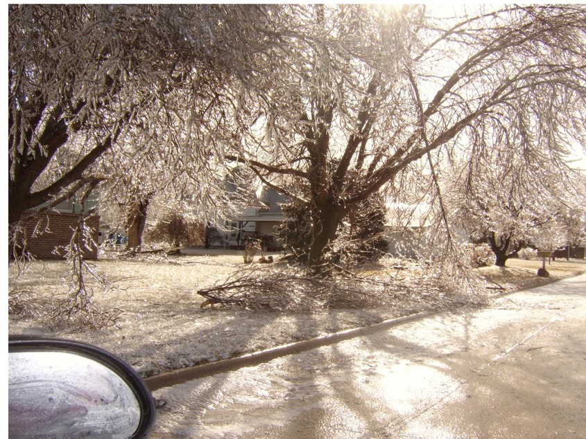 Hampton, NE: Our front yard after ice storm