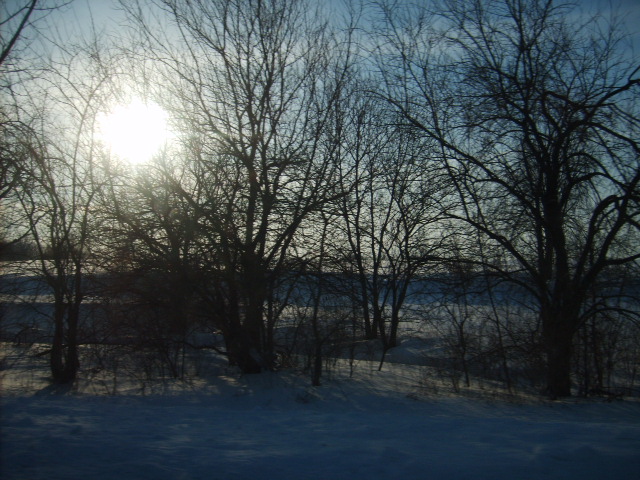 Illiopolis, IL: THIS PICTURE WAS TAKEN AFTER A BIG SNOW STORM IN ILLIOPLIS, IL. THE STORM ENDED IN 15 INCHES OF SNOW.