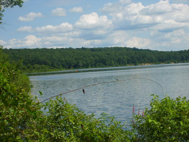 Mansfield Center, CT: Mansfield Hollow, water reservoir