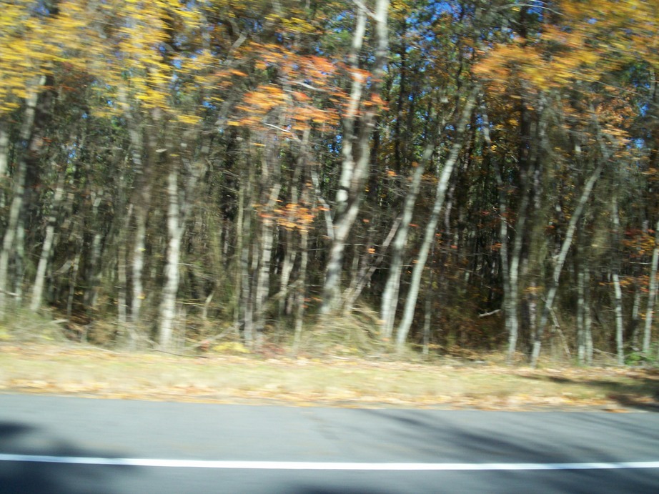 Browns Mills, NJ I HEART COUNTRY LAKES! photo, picture, image (New