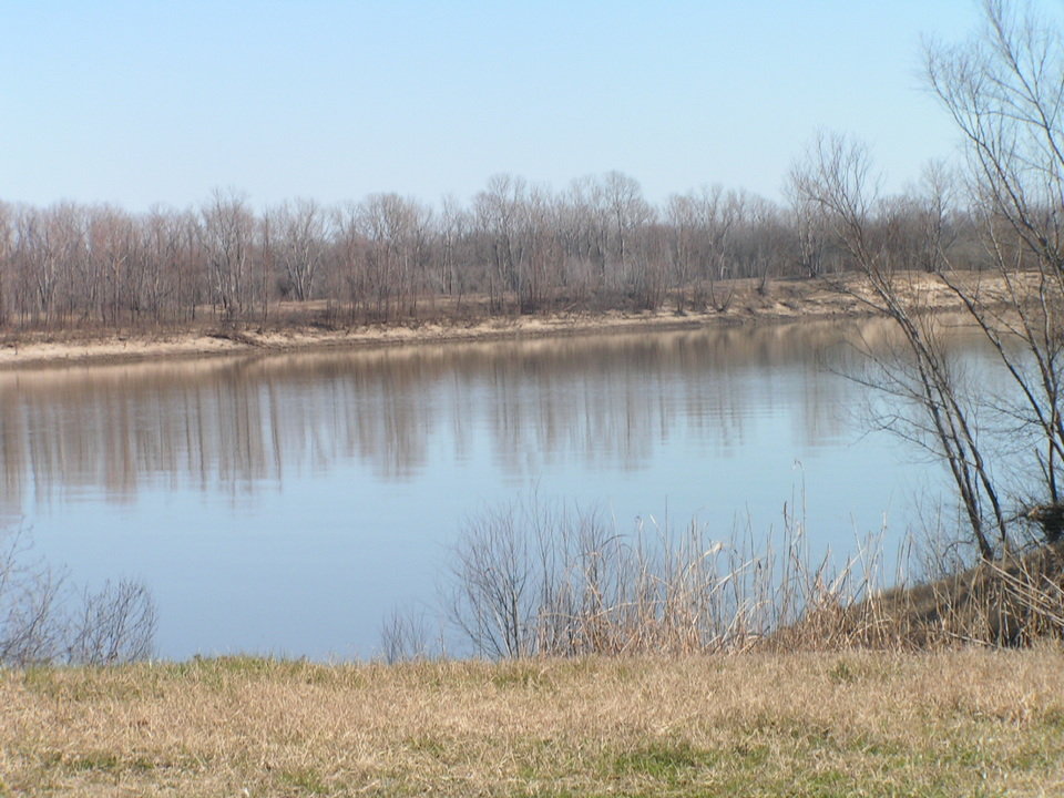 Arkansas City, AR: Picture from Choctaw Island Bayou Public Water Access