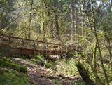 Corvallis, OR: Bridge crossing a small creek in McDonald Forest