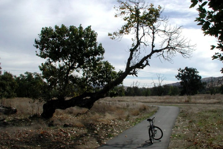 Livermore, CA: Bicycle/Hiking Trail in Sycamore Grove, Livermore, CA