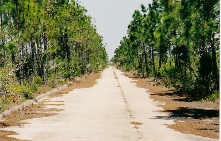 Malabar, FL: "Quite a Walk" Malabar Park