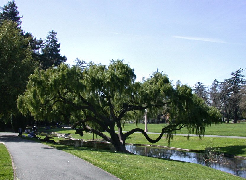 Santa Rosa, CA: Julliard Park