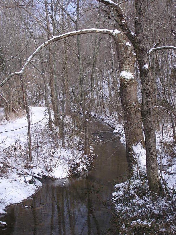 Mount Vernon, KY: A Stream in winter US 461 I Mount Vernon ,KY Feb. 2007