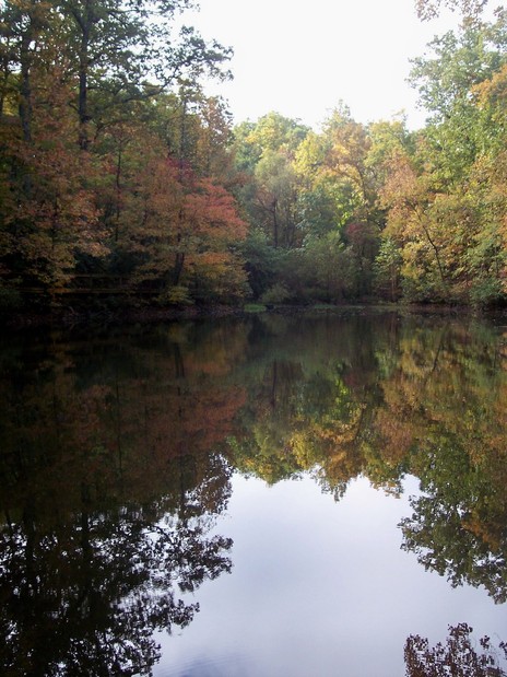 Reidsville, NC: This picture is of Lake Betsy at Chinqua Penn in Reidsville, NC
