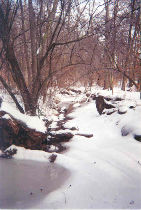 Eden, NC: Snow covered creek