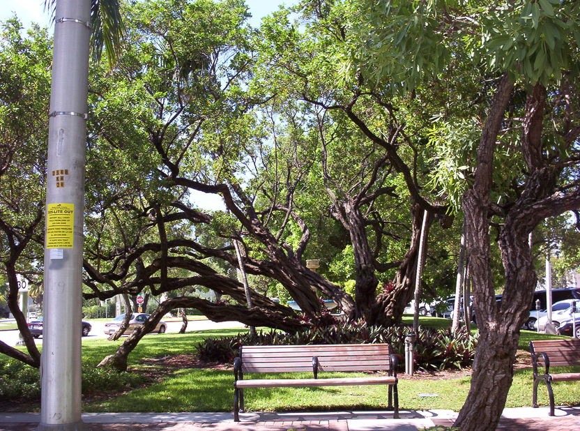 Miami Beach FL Photo Picture Image Florida At City data