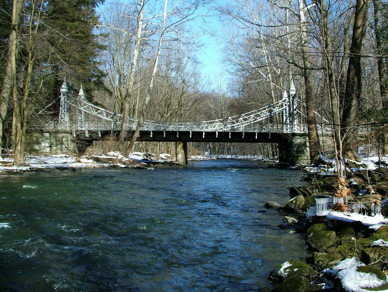Youngstown, OH: The Silver Bridge in Mill Creek Park
