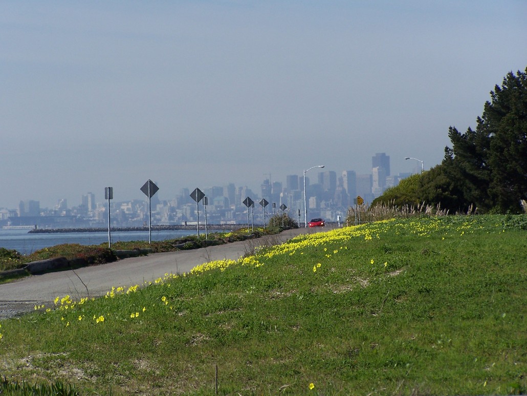 Alameda, CA: Looking west to S.F. from Bellena Blvd.