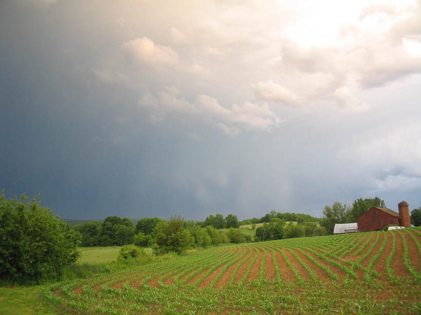 Blain, PA: SUMMER RAINS