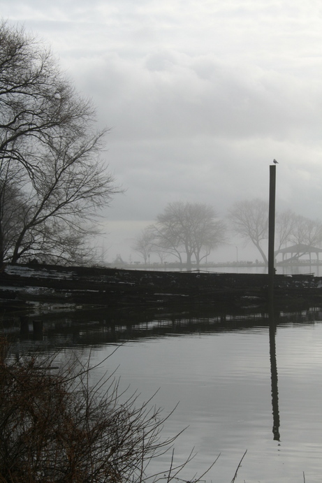 Croton-on-Hudson, NY: Senasqua fog