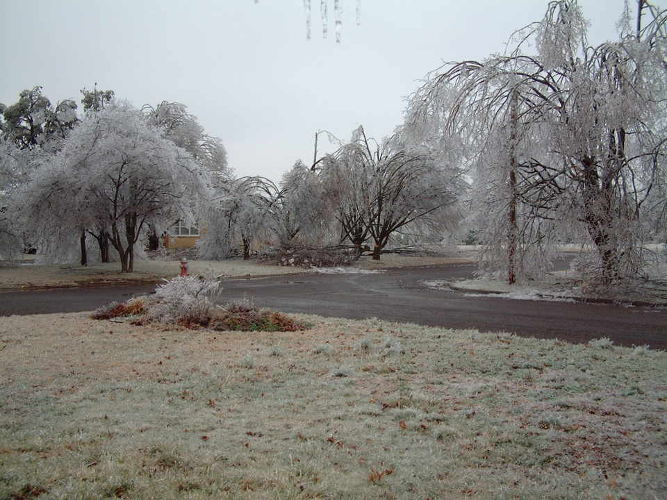 Monett, MO: ICE STORM IN MONETT