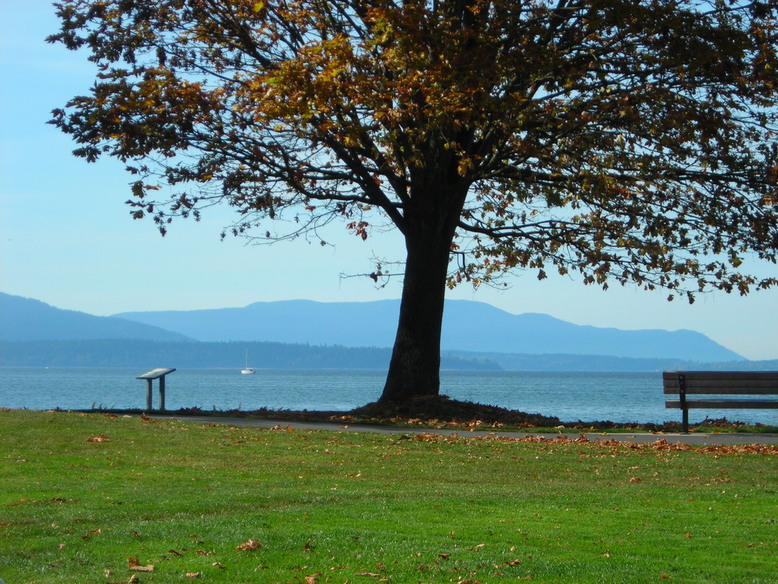 Bellingham, WA: Bellingham Bay (from Boulevard Park)