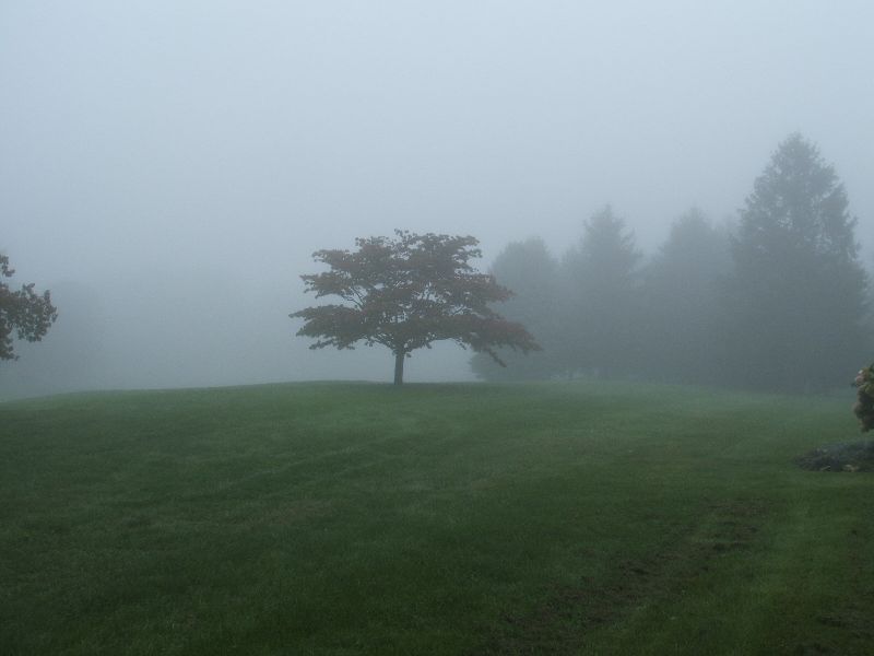Fayetteville, PA: Foggy Morning on Penn National Golf Course