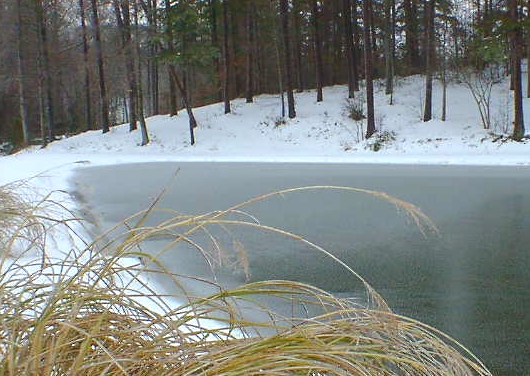 Danville, VA: Pond at the schoolfield golf course in the winter