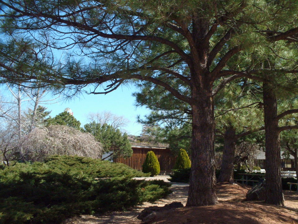 Eldorado at Santa Fe, NM Eldorado Community Center Playground Walkway photo, picture, image