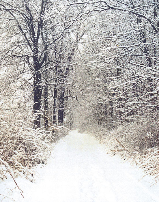 Port Washington, OH: View looking down driveway toward Gilmore Road, Port Washington, Ohio