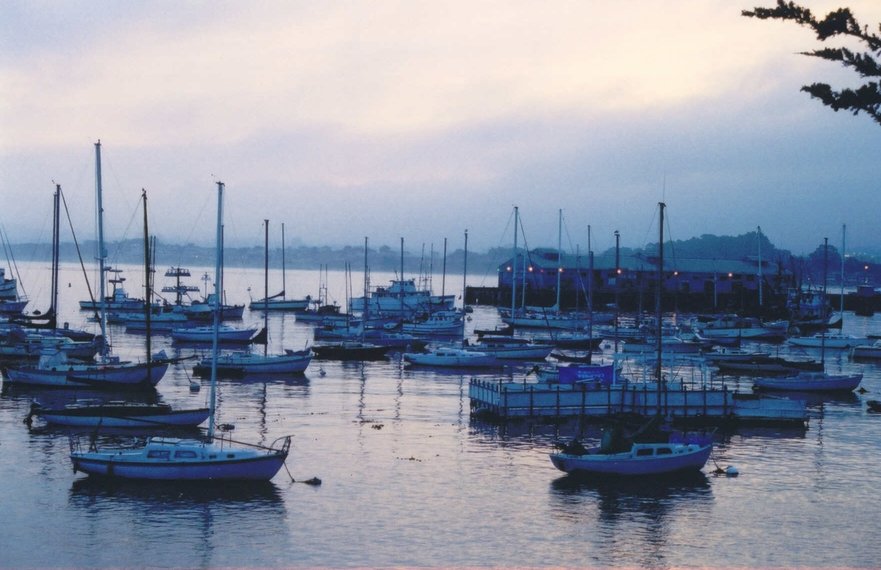 Monterey, CA: harbor at sunrise