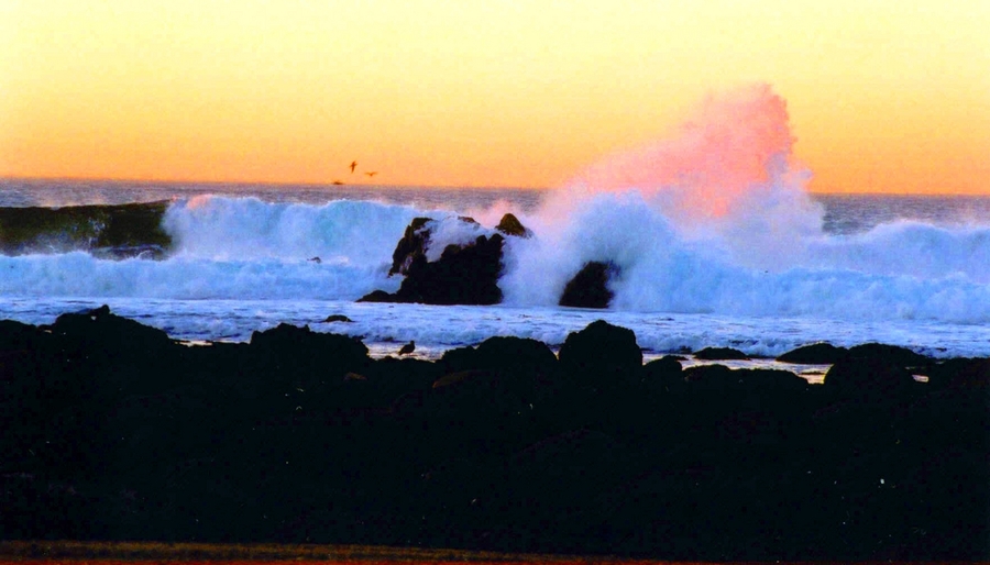 Pacific Grove, CA: pg wave